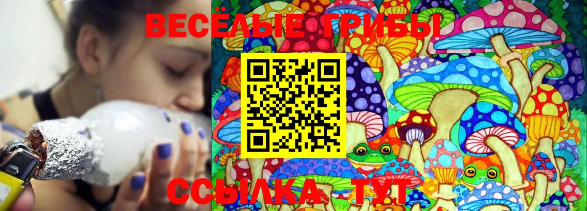Галлюциногенные грибы Magic Shrooms Сибай