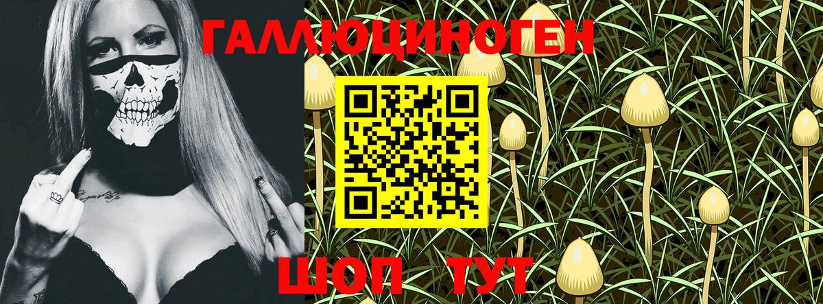 Псилоцибиновые грибы GOLDEN TEACHER  Вход с VPN  Сибай  Псилоцибиновые грибы MAGIC MUSHROOMS 