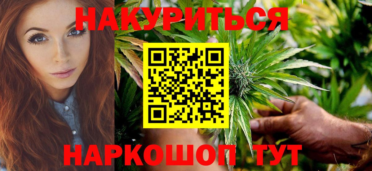 Бошки Шишки планчик Сибай